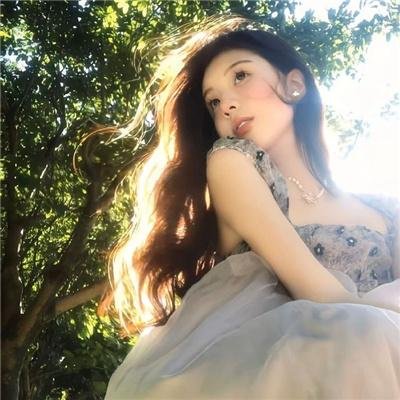 明星志愿
